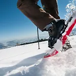 Apartment Terrace 04 Alpe Maritima & See-top 4 By Interhome Annenheim